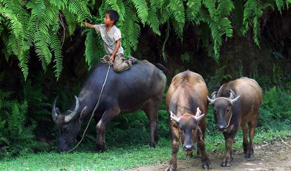 立志當立天下志,求名當求萬世名(圖1) 立志當立天下志,求名當求萬世名(圖1)