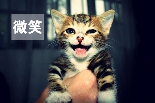 用心感受世界,因活著而幸福(圖1) 用心感受世界,因活著而幸福(圖1)