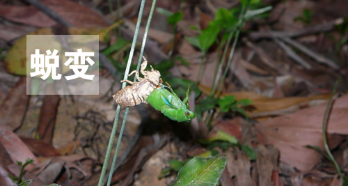 用心感受世界,因活著而幸福(圖4) 用心感受世界,因活著而幸福(圖4)