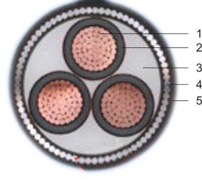 交聯聚氯乙烯絕緣電力電纜(圖2) 交聯聚氯乙烯絕緣電力電纜(圖2)