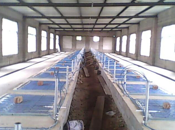 安邦集團(tuán)發(fā)熱電纜用于養(yǎng)殖場(chǎng)保溫室采暖安裝示意圖(圖1)